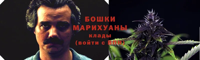 магазин продажи   Калининград  Конопля Bruce Banner 